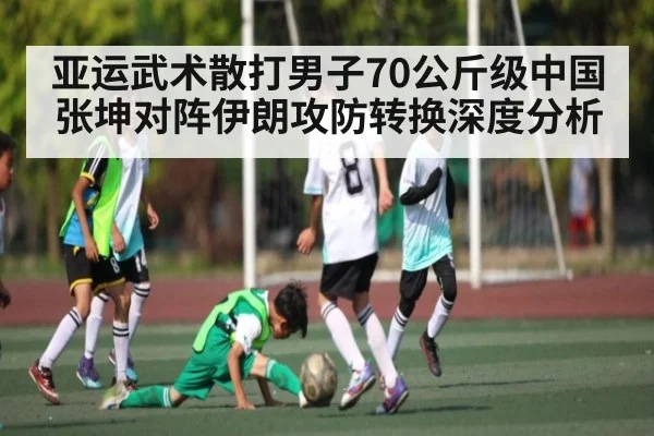 亚运武术散打男子70公斤级中国张坤对阵伊朗攻防转换深度分析