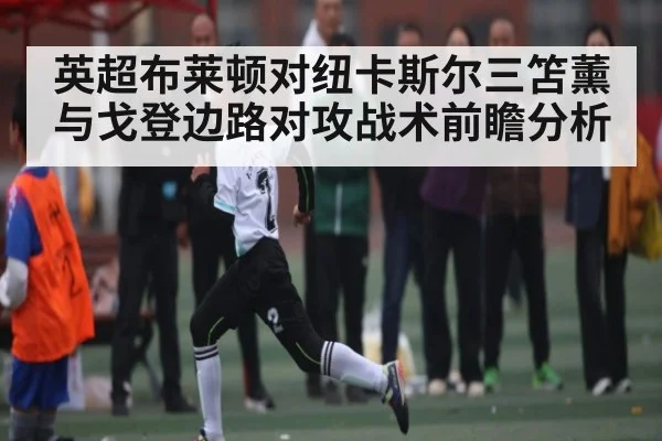 英超布莱顿对纽卡斯尔三笘薰与戈登边路对攻战术前瞻分析