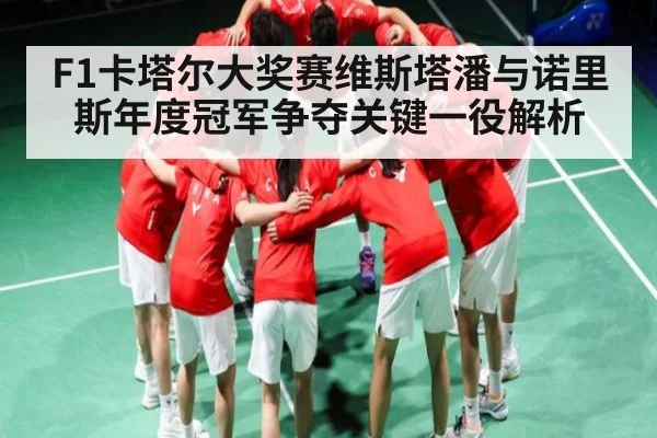 F1卡塔尔大奖赛维斯塔潘与诺里斯年度冠军争夺关键一役解析